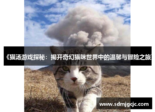 《猫汤游戏探秘：揭开奇幻猫咪世界中的温馨与冒险之旅》