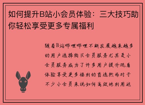 如何提升B站小会员体验：三大技巧助你轻松享受更多专属福利